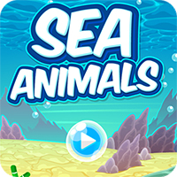 Sea Animals