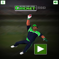 Cricket Batter Challenge