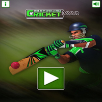 Cricket Batter Challenge